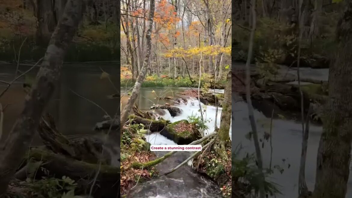 Japan's Best Autumn Hike? 🚶‍♀️🍁