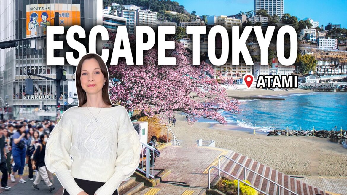 HOT SPRING PARADISE in Japan, Onsen & Seaside Town Escape, Tokyo Day Trip