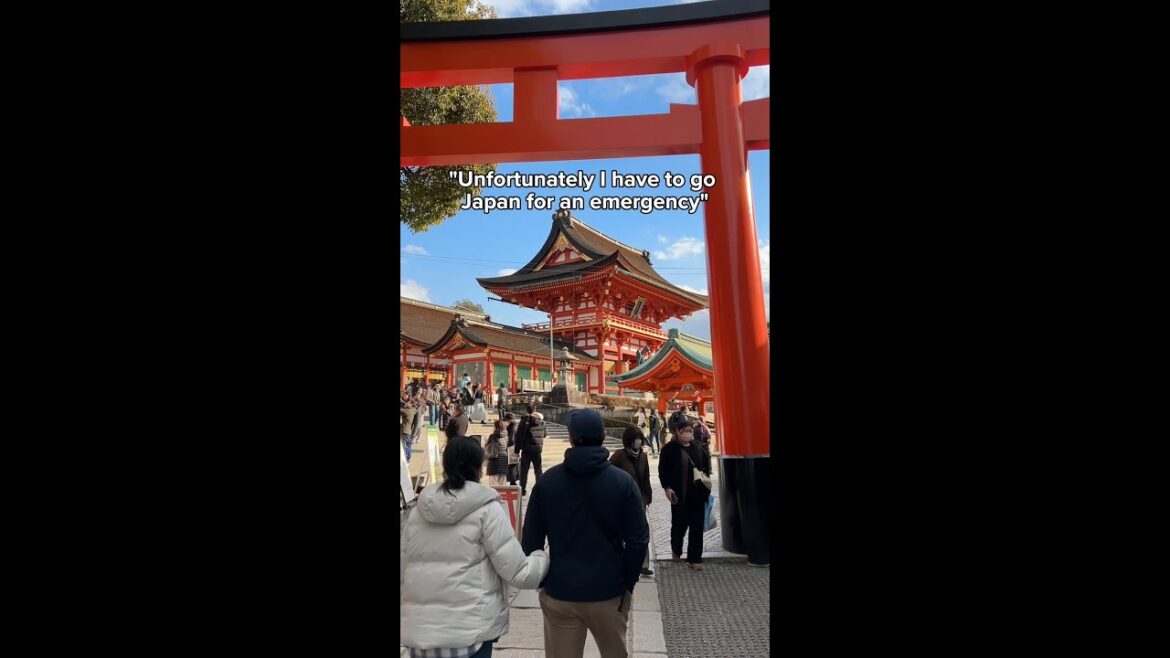 Japan Foodie Inspiration 🇯🇵