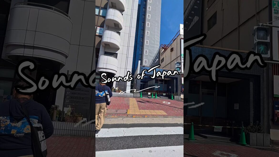 Sounds of japan #japan #tokyo #nagoya  #rcbtrips