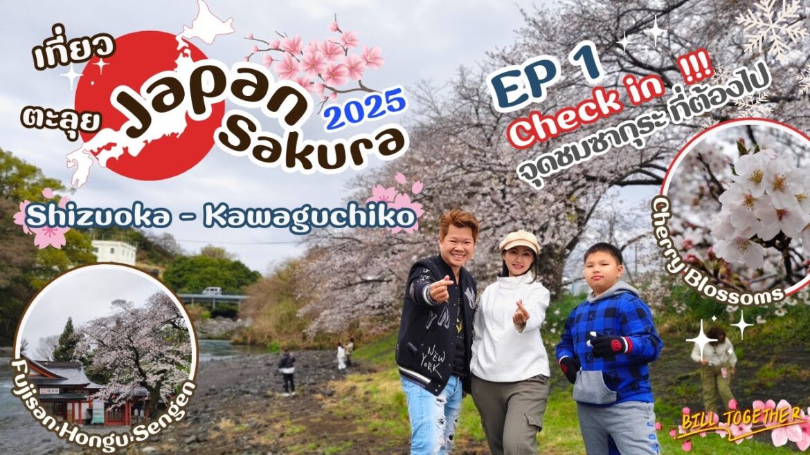 Japan Road Trip EP.117 | ขับรถชมซากุระ เส้นทาง Shizuoka – Kawaguchiko วิวฟูจิสวยมาก