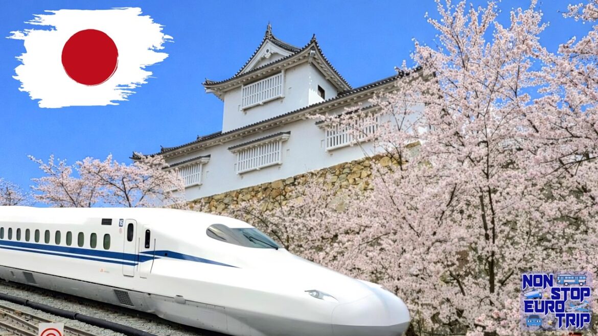 I Took a Bullet Train to JAPAN'S BEST Cherry Blossoms 🇯🇵🌸