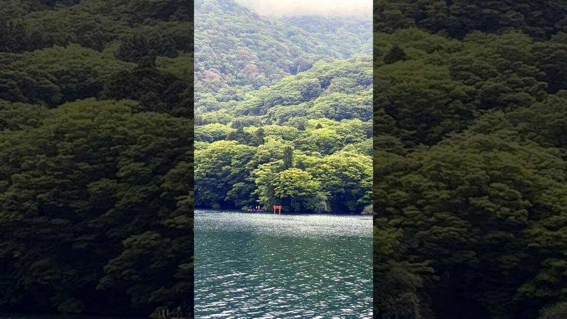 Lake Ashi 🌊⛩️ | Hakone, Japan 🇯🇵 #travel #japan