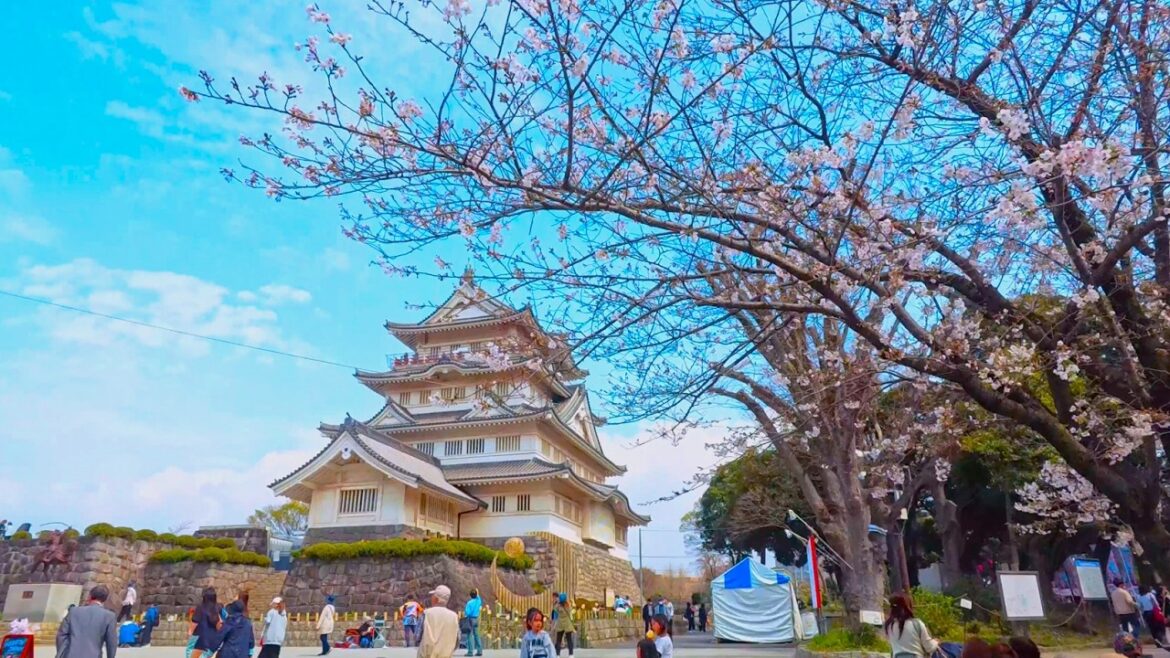 本千葉を散歩【4K Walk】Rural Japan Walking Tour – Chiba, Japan 千葉城さくら祭り2026 千葉市 chiba castle Sakura festival 本千葉を散歩【4K Walk】Rural Japan Walking Tour – Chiba, Japan 千葉城さくら祭り2026 千葉市 chiba castle Sakura festival