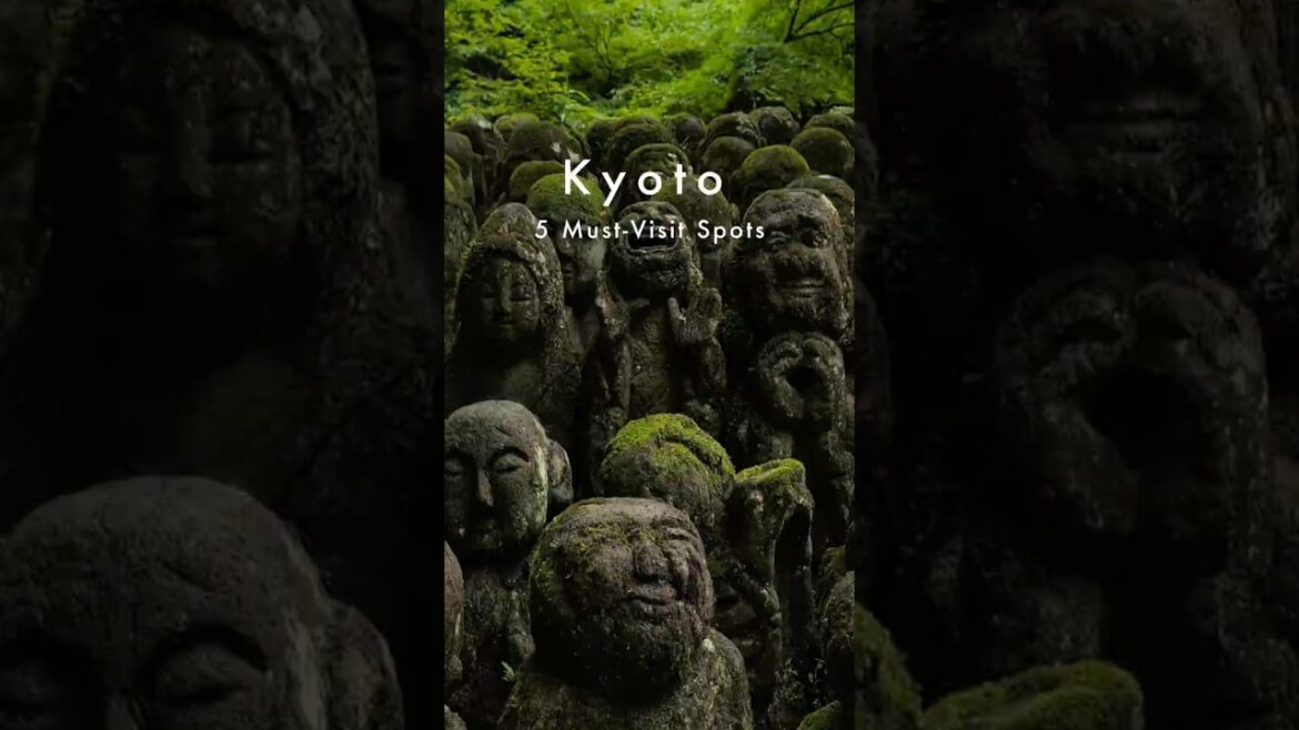 What to Do in Kyoto? 5 Must-Visit Spots (Don't Wander Aimlessly)