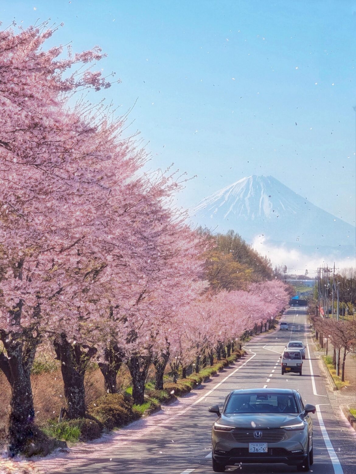 Just passing through a beautiful road in Yamanashi.