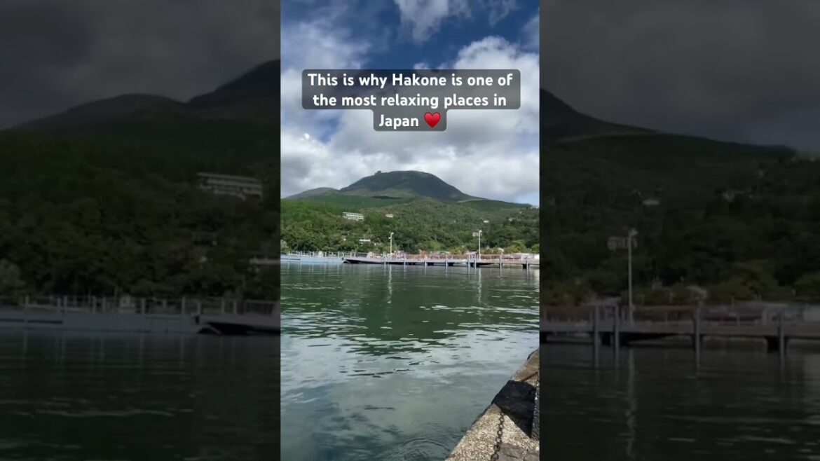 This is why we visit Hakone every time we visit Japan. The relaxing nature. #japan #hakone #shorts
