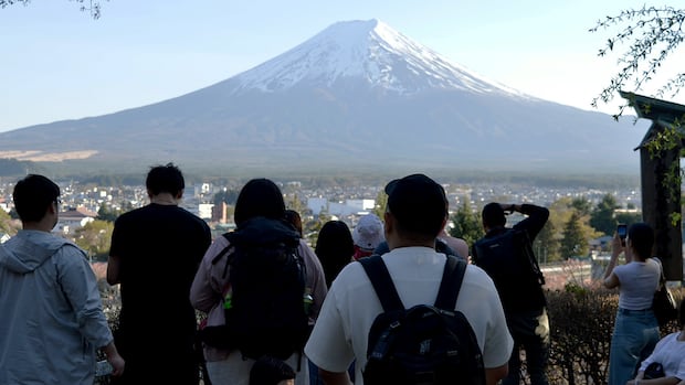 This Japanese town cancelled its cherry blossom festival to stop overtourism. It didn’t work This Japanese town cancelled its cherry blossom festival to stop overtourism. It didn’t work