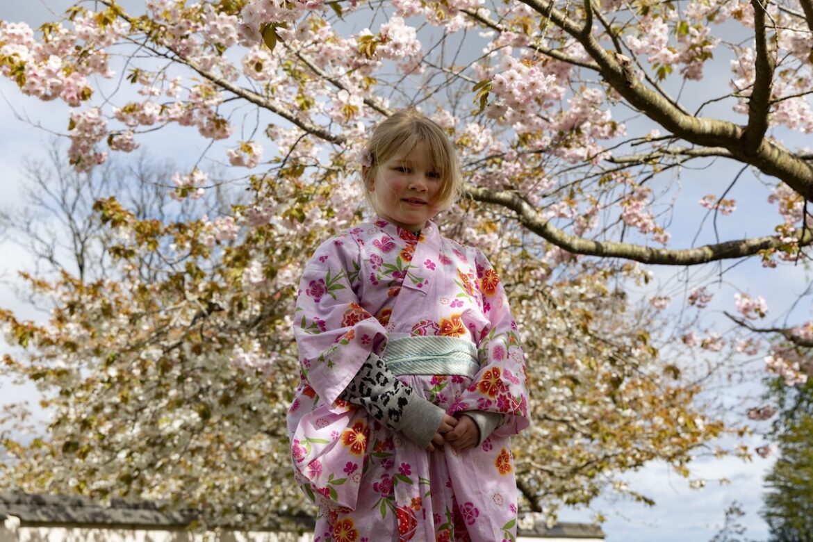 Celebrating Japan Sakura at Lauriston Castle