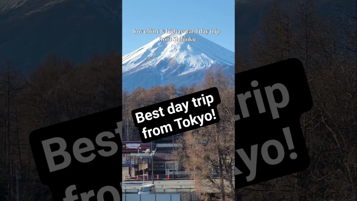 best low effort and high reward day trip from Tokyo! #japan #fuji #kawaguchiko