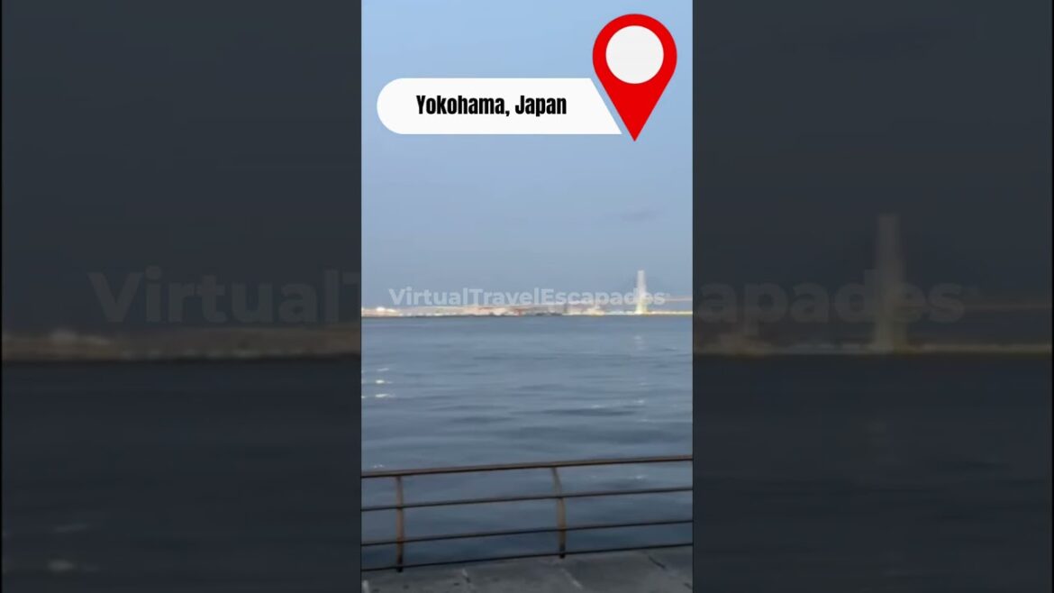 📍 POV: You are in Yokohama 🤩