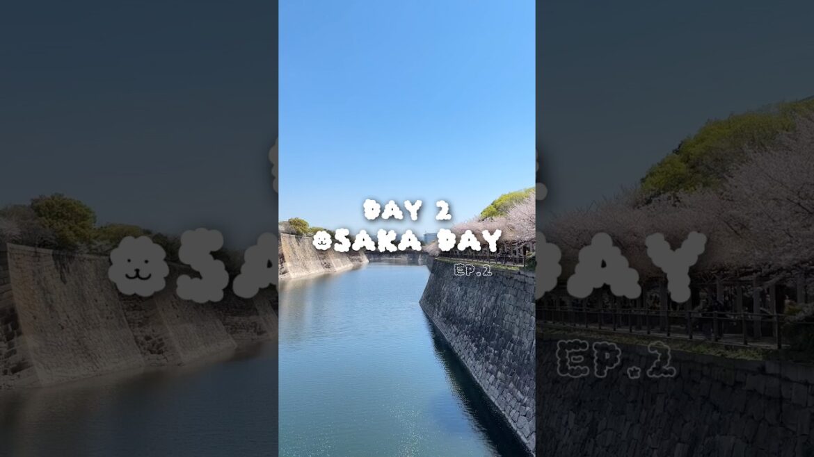 Osaka Day JAPAN 2026 EP.2 #travel #japan #osaka #sakura