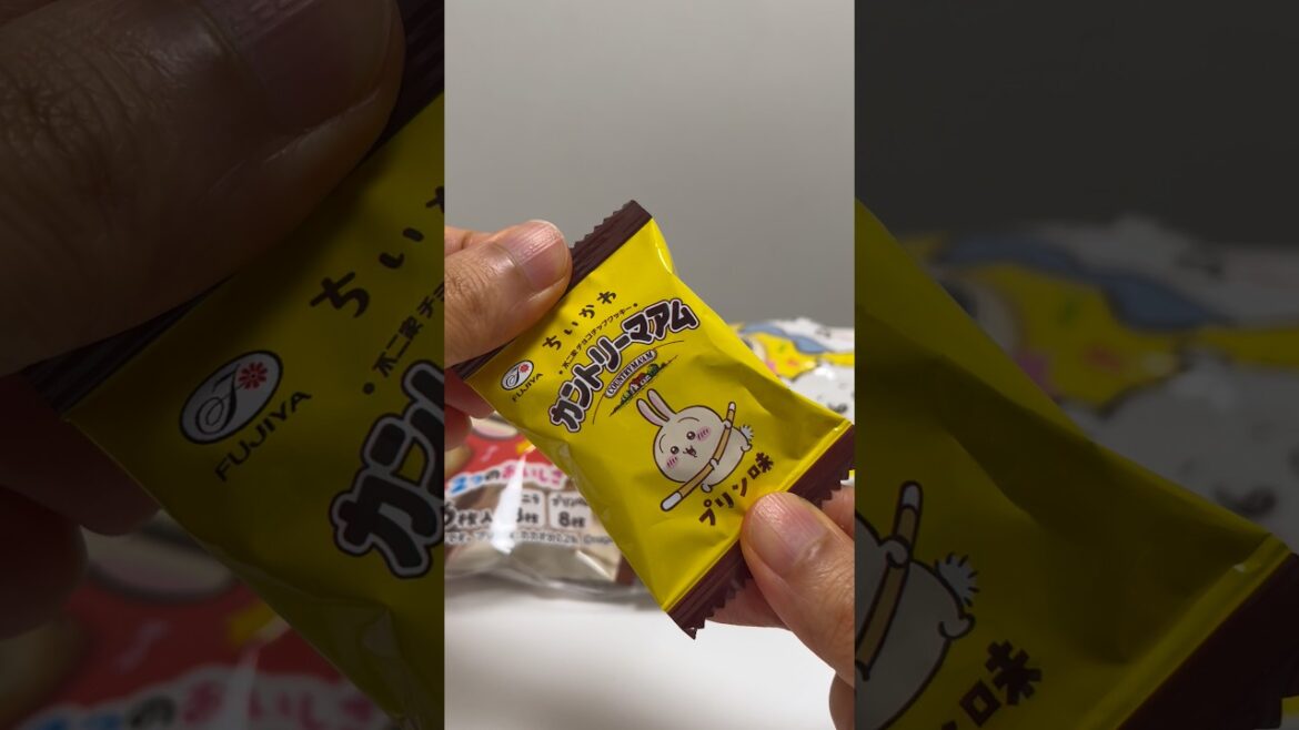 Chiikawa Country Ma'am Pudding Flavor #shorts