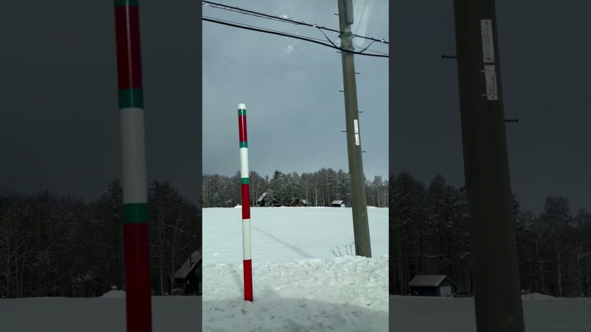 Furano - On the way to Sapporo by bus - Part 1 - 18 Dec 2024