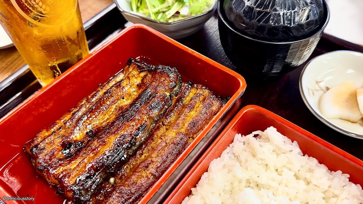 🇯🇵 Matsujyu Unagi 松重（まつじゅう）Japanese Eel Restaurant Review @ Kagoshima Kyushu Japan 🇯🇵