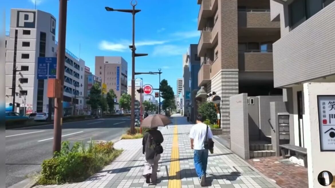 Hamamatsu City Japan Tour