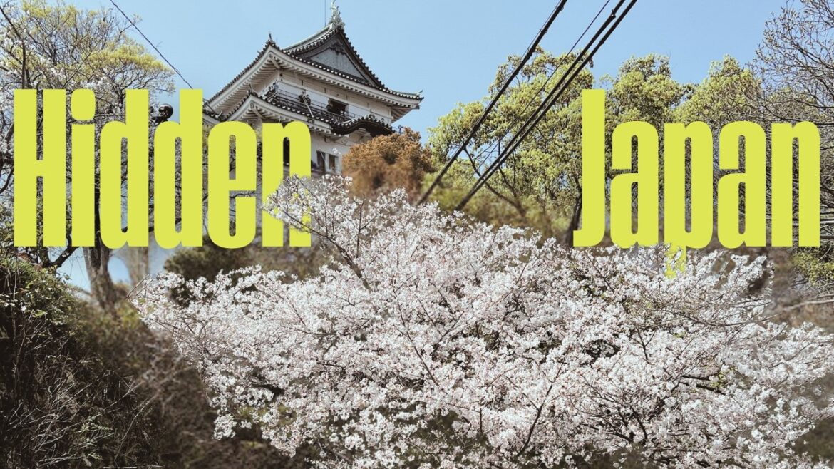 Sakura Spots No One Wants You to Know About! Wakayama, Japan