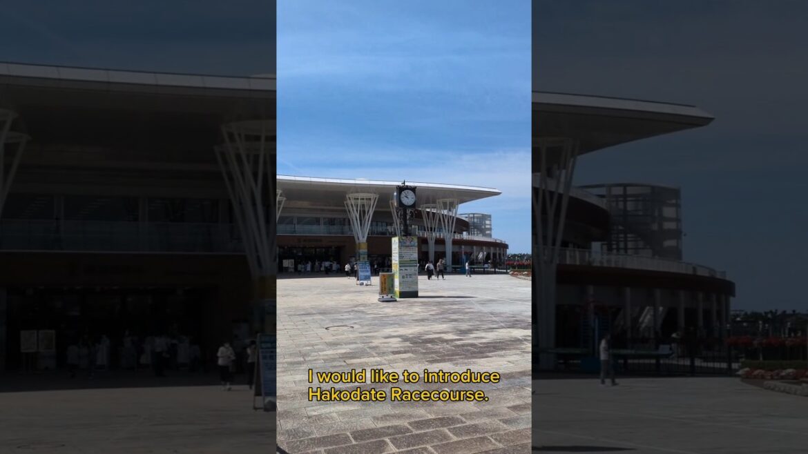 【Horse Racing】Hakodate Racecourse#shorts