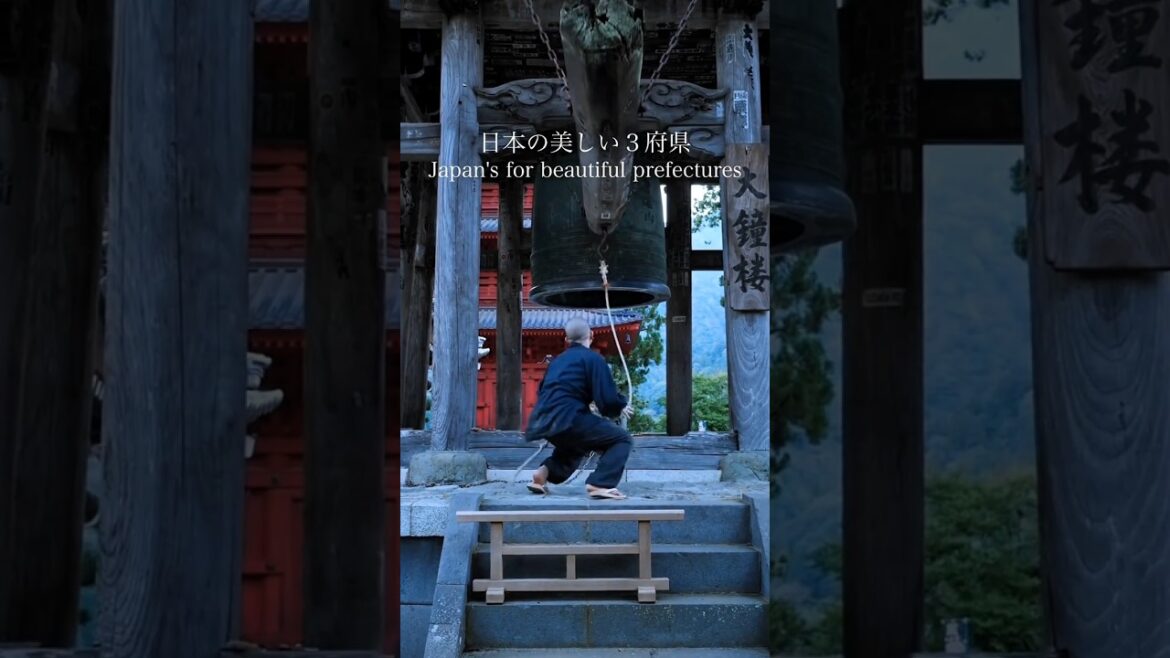 The most beautiful place in Japan, Kyoto, Nara, Wakayama, #kyoto #nara #wakayama #japan #travel