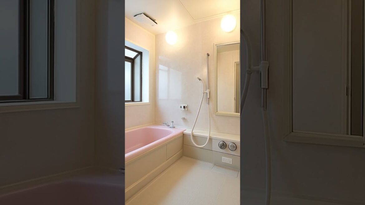 Traditional Japanese Home $88K in Niigata curated by Kenro