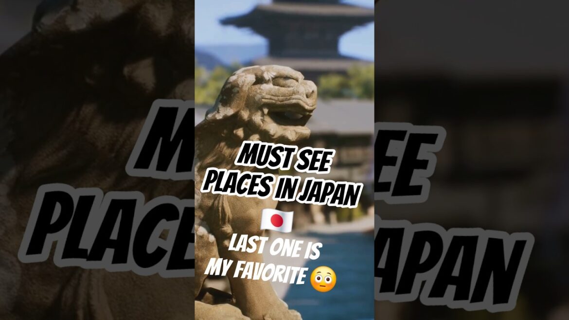 Must See Spots In Japan! ⛩️🍙