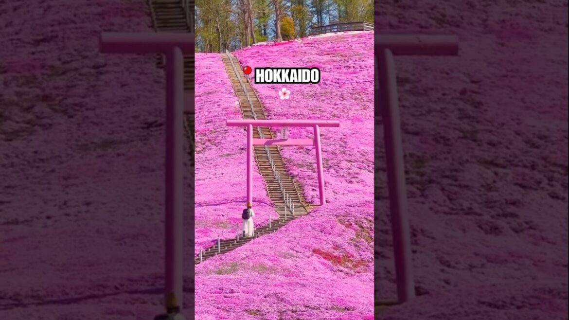 🇯🇵 Most Beautiful Places in Japan