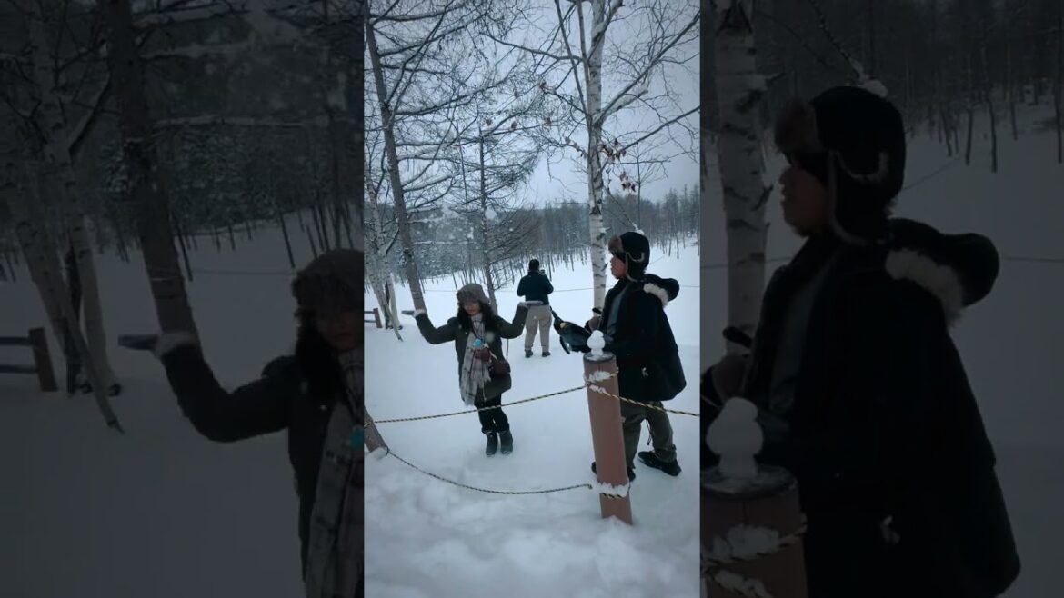 #japan #visitjapan #travel #bucketlist #snow #sapporo #hokkaido