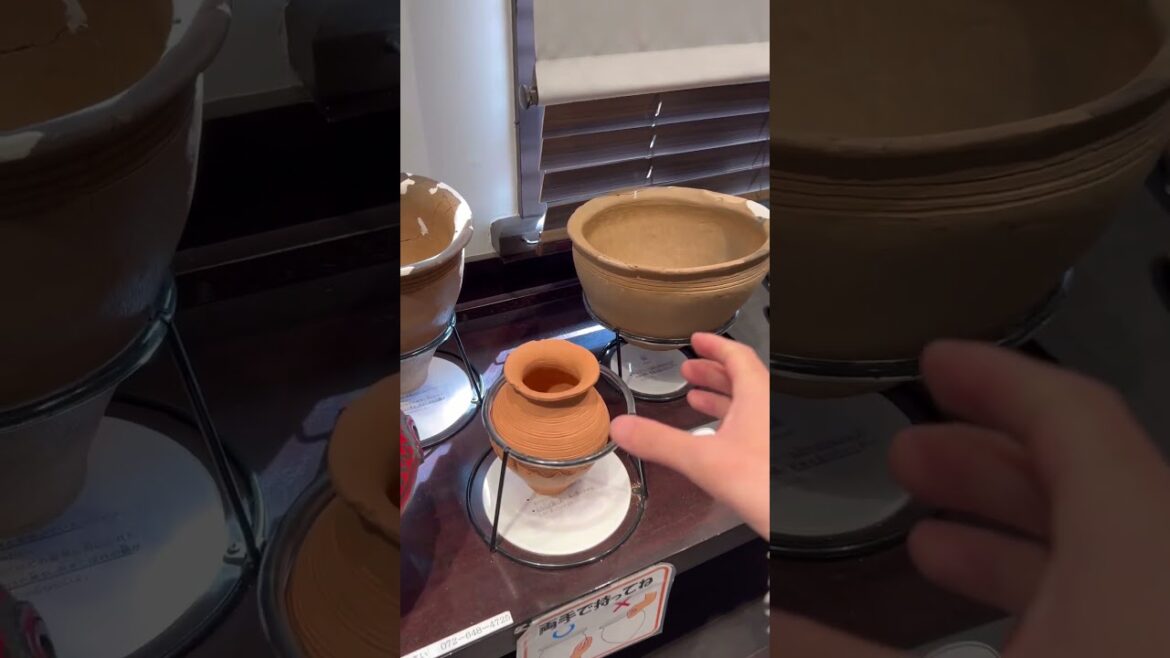 【OSAKA】Must-See Tourist Attractions - Ama Iseki Park