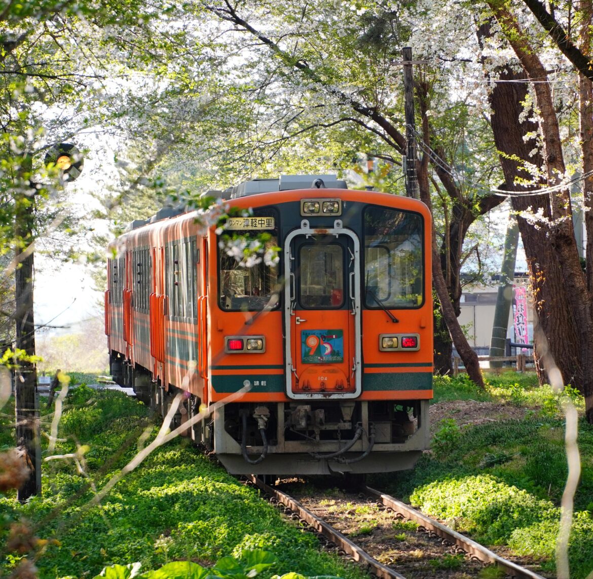 A train doing train things in Ashino Park, Aomori