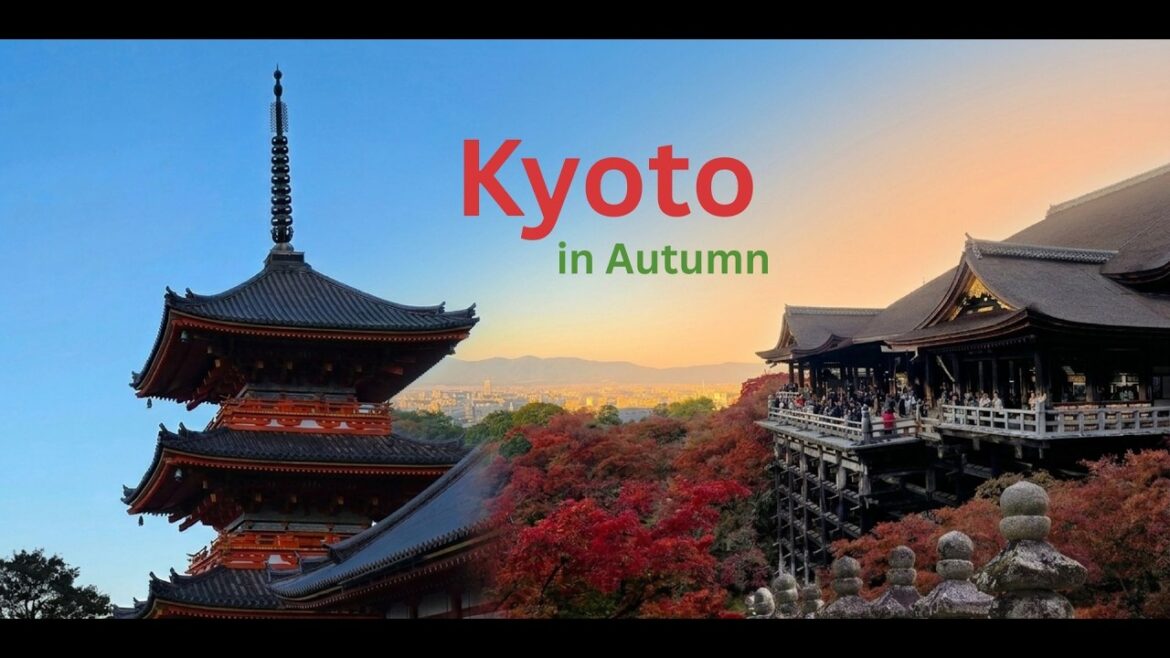 Kyoto 🇯🇵 | 3 Days in Autumn 🍂 Travel Tips & Best Timings to Avoid Crowds