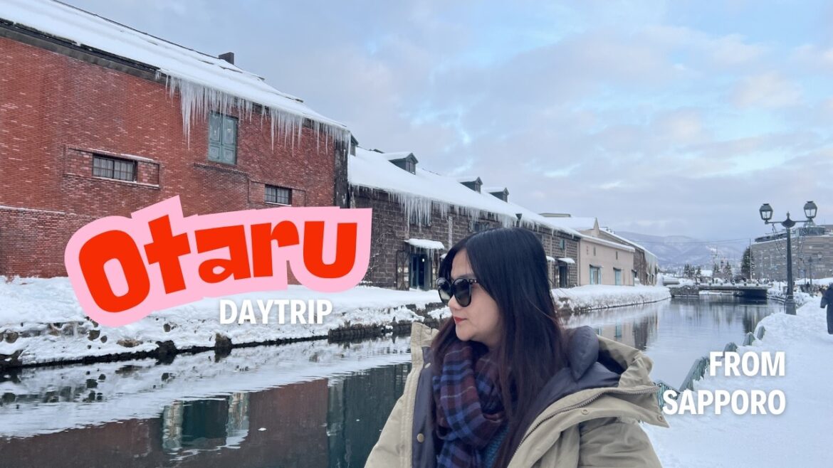 Day trip to Otaru from Sapporo | Otaru Aquarium | Tenguyama Ropeway | Otaru Canal
