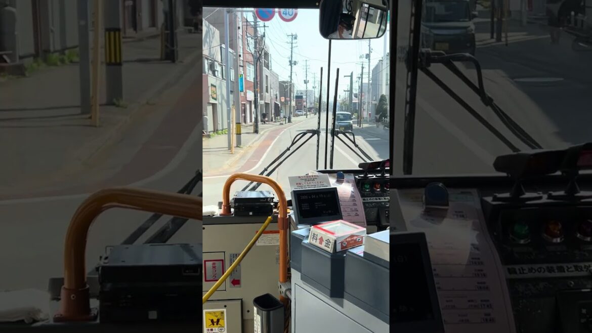 Riding the bus in Aomori #japaneseculture #streetphotography #japan