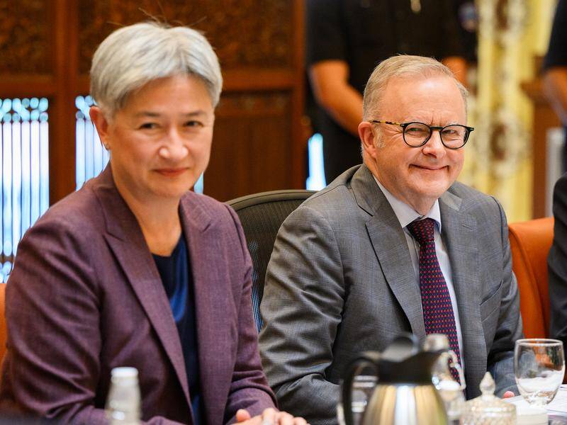 Foreign Minister Penny Wong will soon arrive in Japan as she tries to secure access to Asian petrol. Photo: Bianca De Marchi/AAP PHOTOS