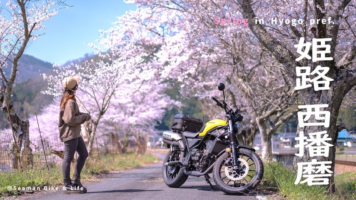 【姫路・西播磨】出張ついでに兵庫県でツーリングをする社畜の春の２days｜Honda CL250｜休日バイクVlog