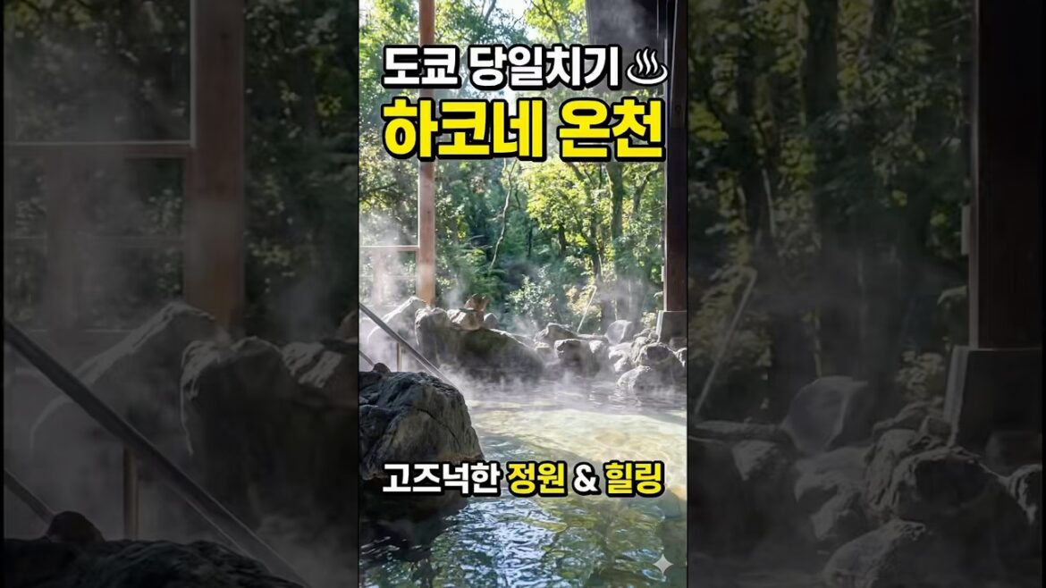 도쿄 당일치기 온천 하코네 숲속 노천탕 힐링 여행