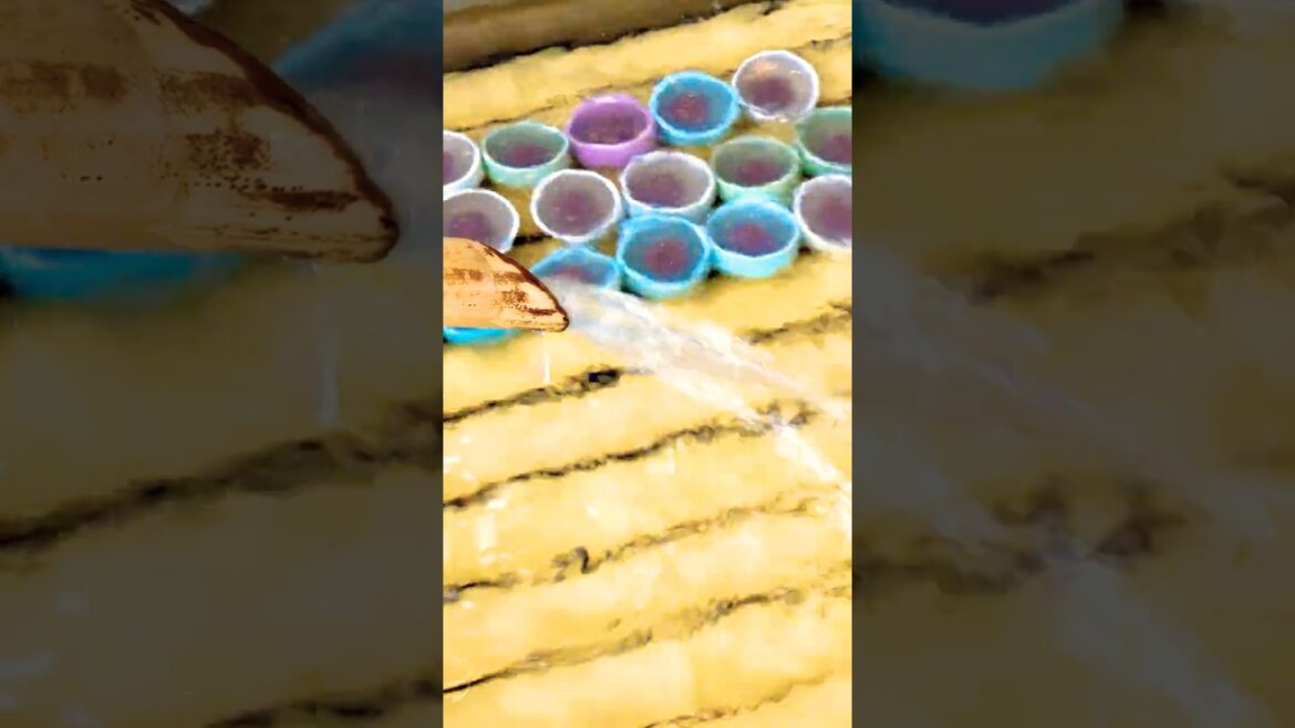 Japan’s BEST Floating Water Mochi