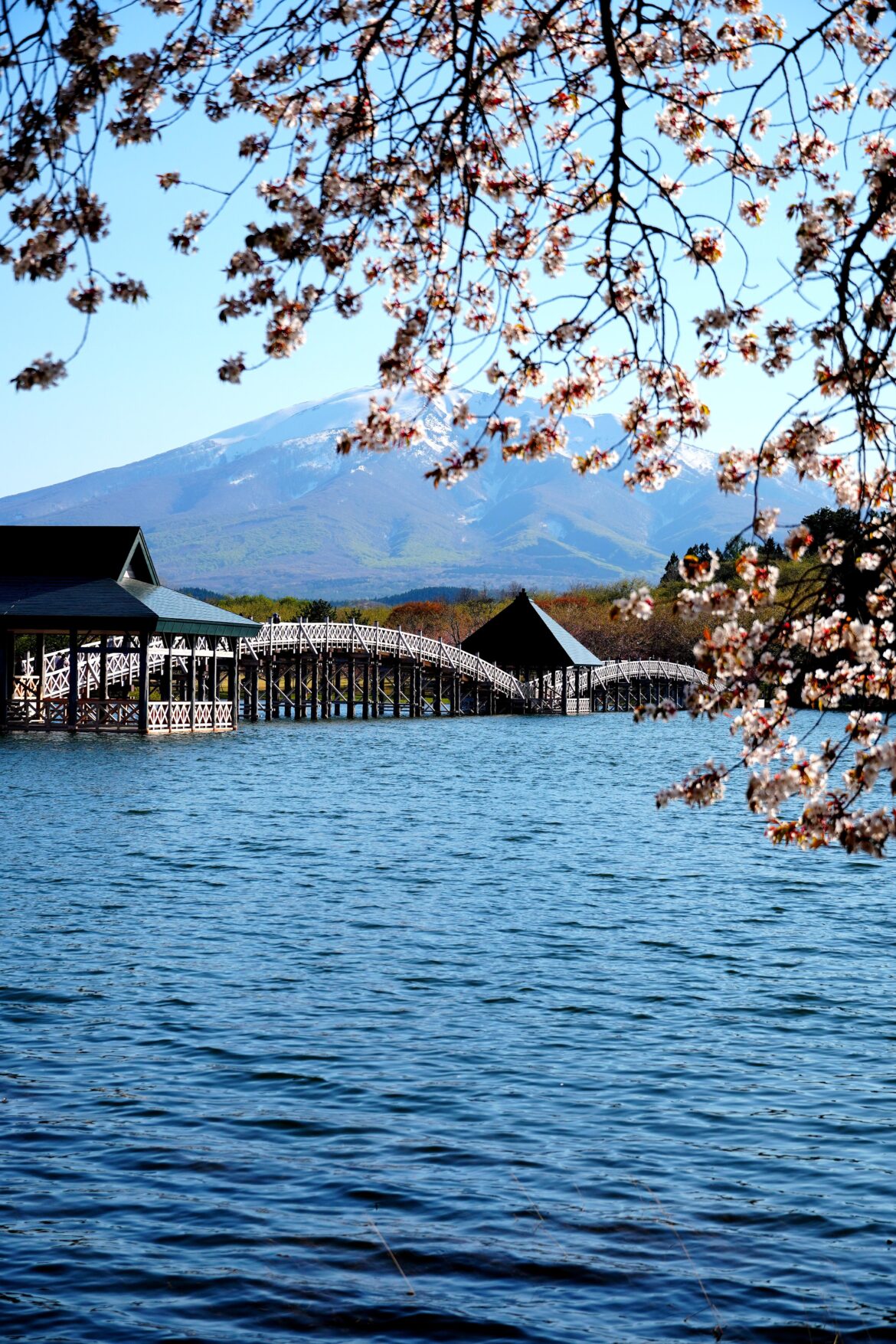 Tsuru no Maihashi (the crane bridge)