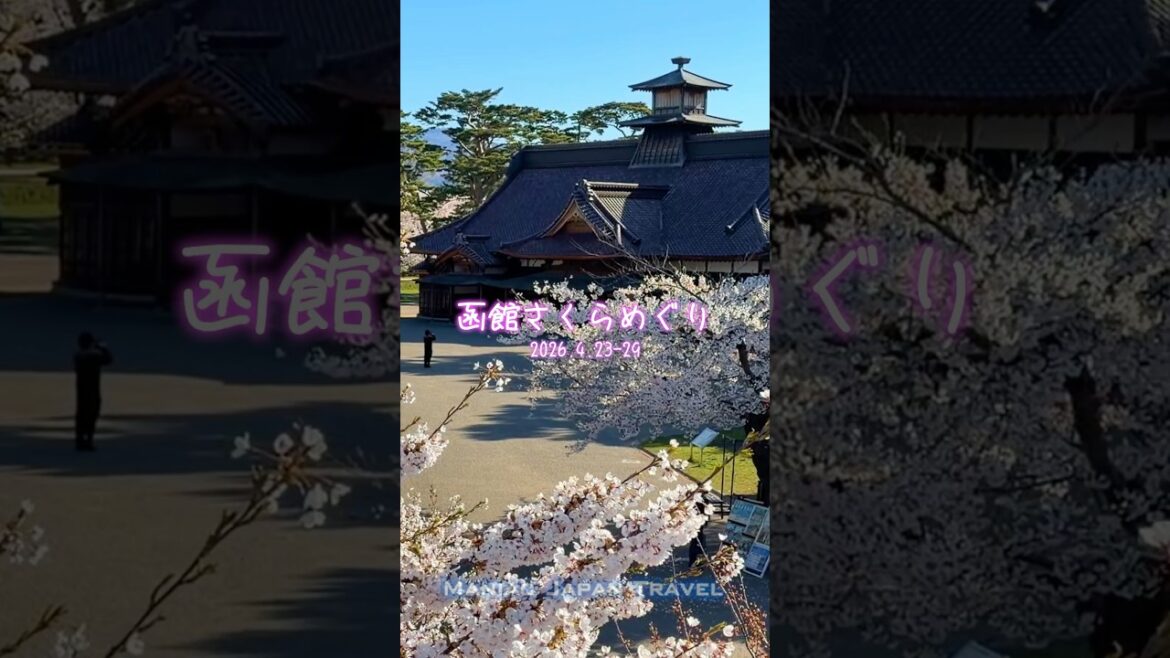 北海道 函館さくらめぐり 2026.4.23-29