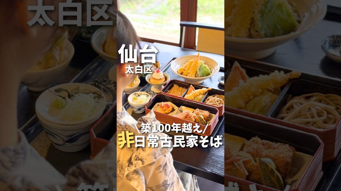 【仙台】非日常すぎる...築100年越えの古民家そば屋さん😋#宮城観光 #宮城旅行 #宮城グルメ #仙台観光 #仙台旅行 #仙台グルメ #古民家 #蕎麦 #japanesefood #shorts