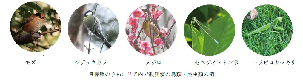Umekita Forest