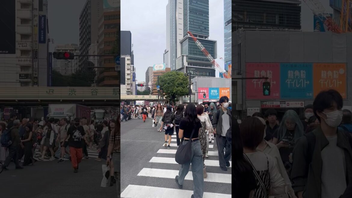 In the heart of Shibuya Crossing #japan #shibuya #vacation #travel #asia #tokyo #throwback #short