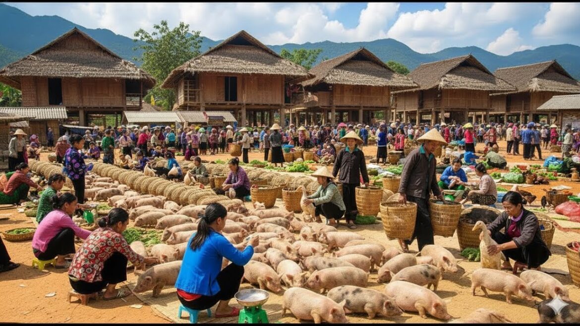 Vietnam's Unique Bridge Market - Discover Authentic Vietnamese Street Food