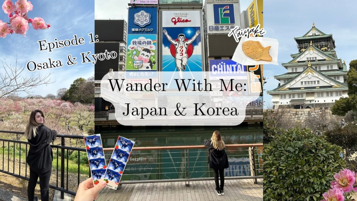 My FIRST Time in Japan & Korea | Dotonbori, Fushimi Inari Shrine & Osaka Castle 🇯🇵