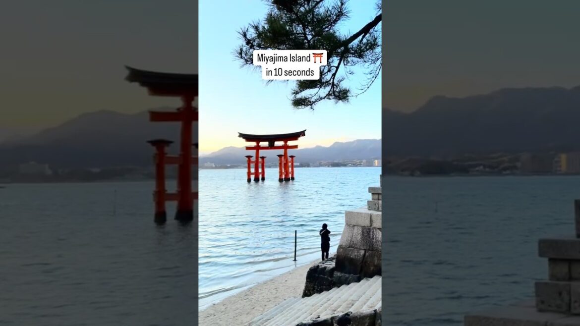 Miyajima in 10 Seconds – Floating Torii & Deer ⛩️✨ Miyajima in 10 Seconds - Floating Torii & Deer ⛩️✨