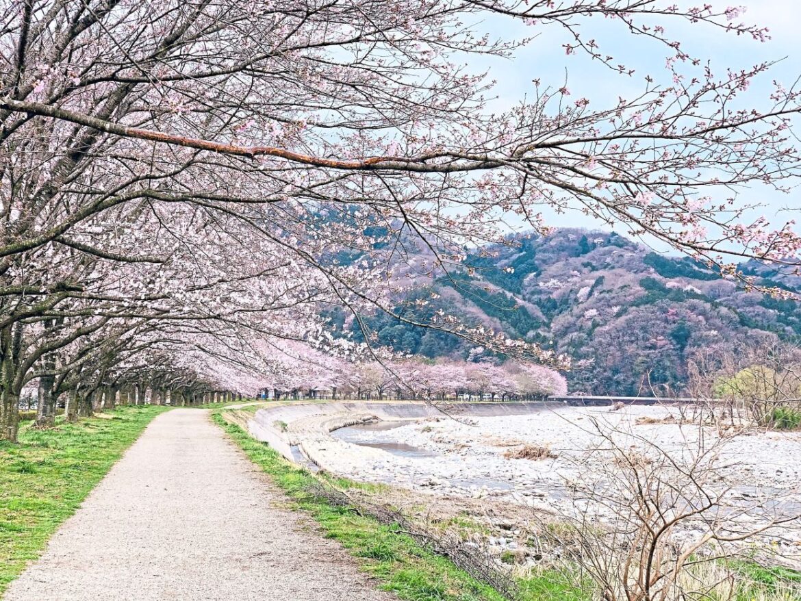 Malaysian travellers choose flexibility when planning holidays, survey says