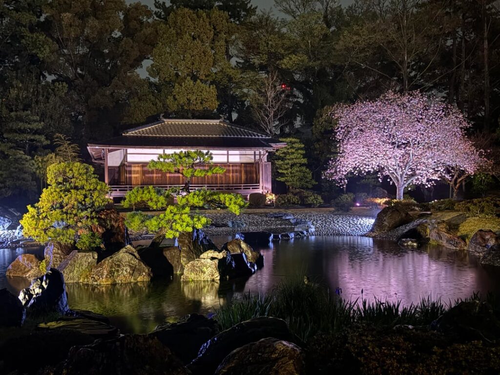 Sakura Nights at Nijō Castle, Kyoto