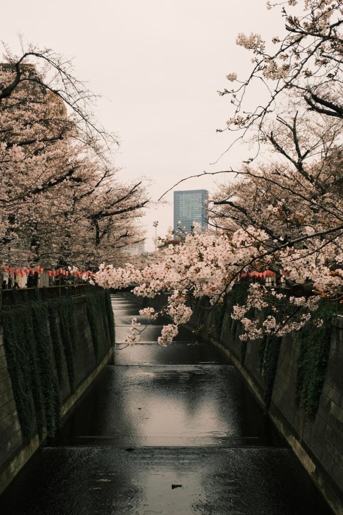 Tokyo- a couple of weeks back