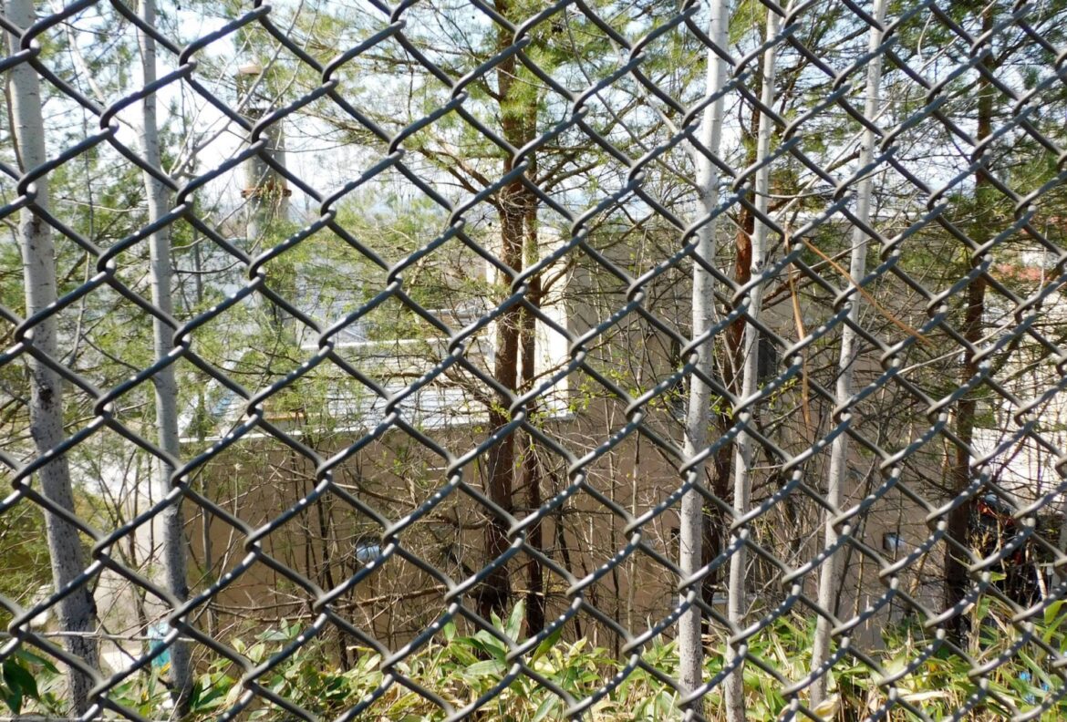 Zoo employee admits to burning wife’s body in incinerator