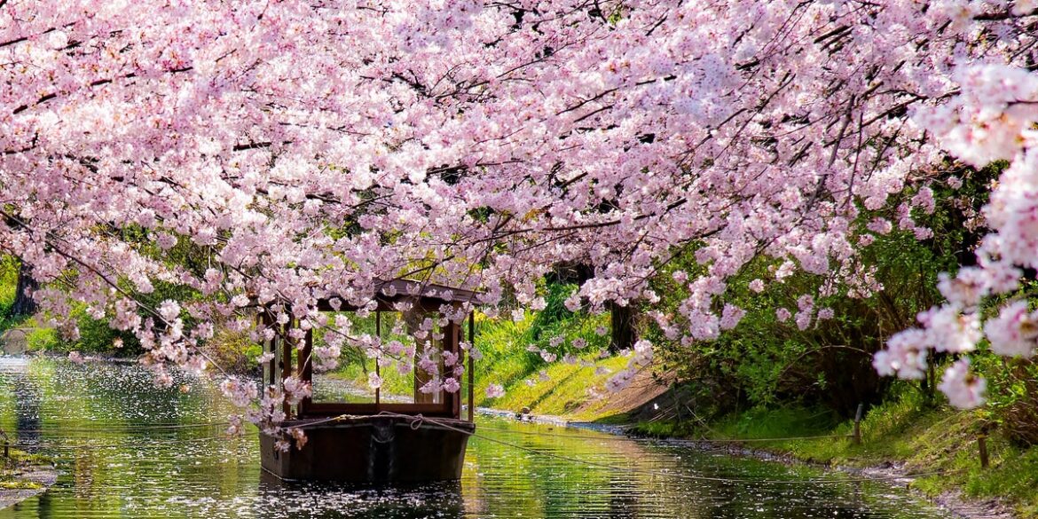 What I Learned Exploring Japan’s Ancient Gardens