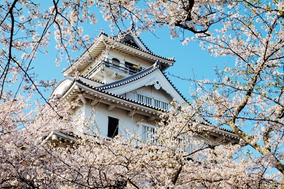 Thanks to the city’s enterprising citizens, Ozu Castle was the first in Japan to offer overnight accommodation to paying guests.